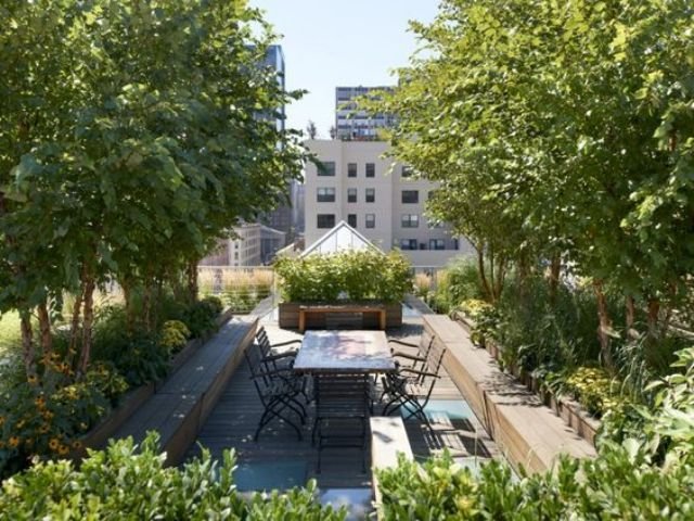 Rooftop Miyawaki Garden