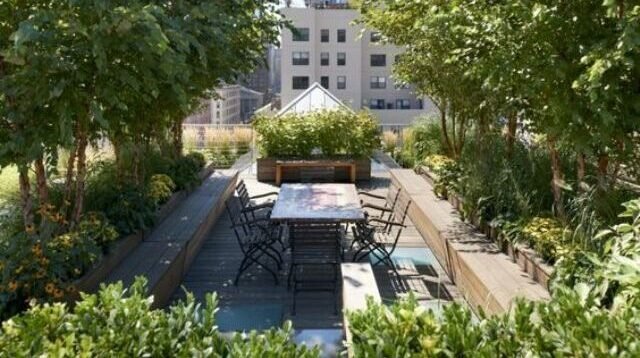 Rooftop Miyawaki Garden